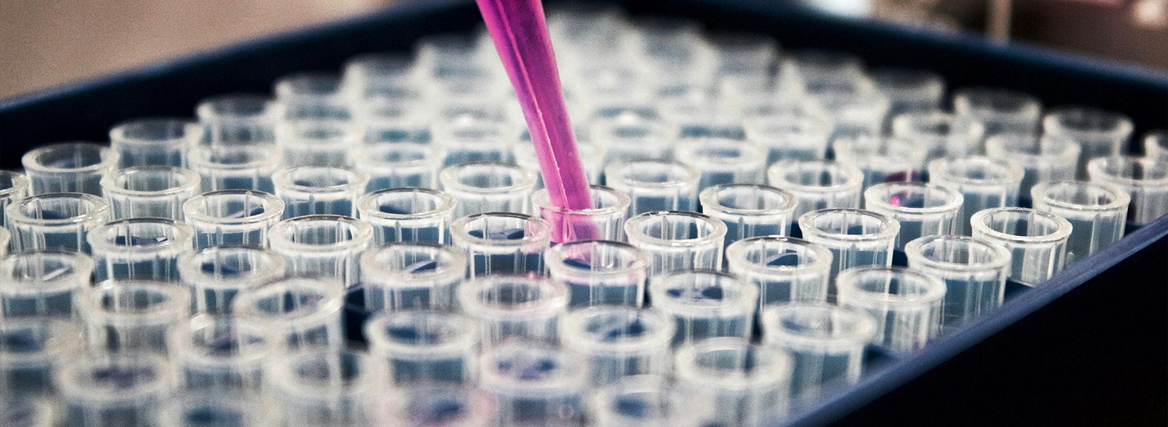 Bright purple chemical poured in a tray of glass tubes represents Exhibit Network enabling success at chemical and coatings trade shows and expos like the Powder Show, American Coatings Show and AMPP